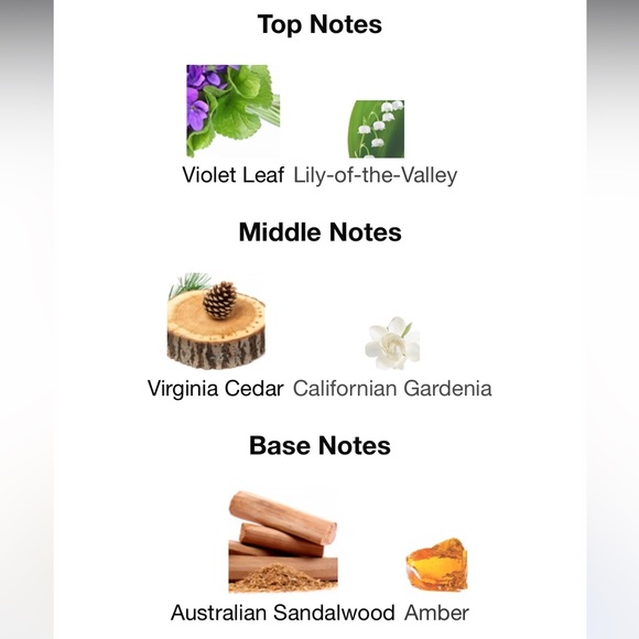 Cedar Violet Aerin Lauder - Picture 5 of 5